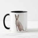 Recherche de image de chat tasses Animaux domestiques