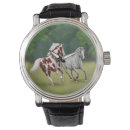 Suche nach appaloosa accessoires Western