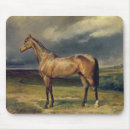 Suche nach arabische pferde mousepads Reiter