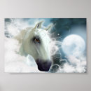 Suche nach arabian horse poster Equine