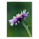 Recherche de archer de ken cartes postales Fleur sauvage