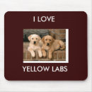 Recherche de laboratoire tapis souris Chien d'arrêt
