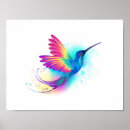 Suche nach exotic poster Kolibri