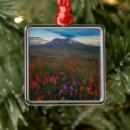 Suche nach indianer ornamente Landschaft