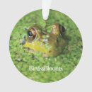 Suche nach fröschen ornamente Natur