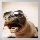 Recherche de joint posters Animal