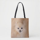 Suche nach kitz taschen Niedlich