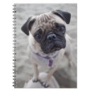 Suche nach gesicht kleine notizbücher Hund