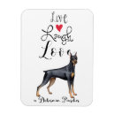 Recherche de pinscher magnets Dobie