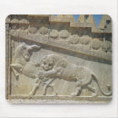 Suche nach überreste mousepads Ruine