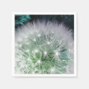 Recherche de pissenlit serviettes Dandelion