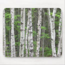 Suche nach birke mousepads Wald