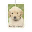 Recherche de chiens voiture accessoires Drôle