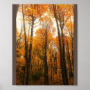 Suche nach autumn forest poster Herbst