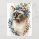 Suche nach siamese cat postkarten Blume