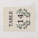 Suche nach griechische oliven postkarten Olivenzweig