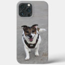 Recherche de chien heureux iphone coques Dog