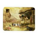 Recherche de basse cour magnets Scènes