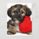 Suche nach dog lover karten Bezaubernd