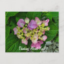 Recherche de rose et violet cartes postales Fleurs