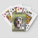 Recherche de bluetick coonhound Chien