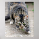 Suche nach tierjagd poster Vertikal