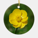 Suche nach netterer ornamente Natur