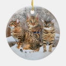 Suche nach bengalische katze ornamente Weihnachten