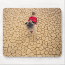 Recherche de fissure tapis souris Motif