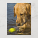 Recherche de concentrique cartes postales Vertical