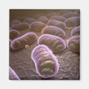 Suche nach bakterien magnete Horizontal