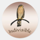 Suche nach hawk aufkleber Vögel