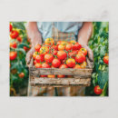 Suche nach frische kirschen postkarten Biologisch