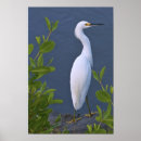 Recherche de oiseaux de marais art Hérons