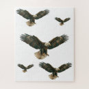Recherche de aigles puzzles Nature