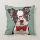 Recherche de bostons coussins Pour tous