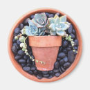 Recherche de pot fleur magnets Succulent