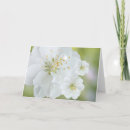 Recherche de macro vœux cartes Fleur