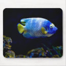 Suche nach unterwasser mousepads Fisch