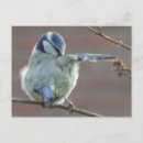 Recherche de indice cartes postales Pour tous