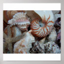 Suche nach beschaffenheiten poster Strand