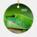 Recherche de lézard vert ornements Animal