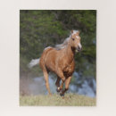 Recherche de chevaux palomino puzzles Race