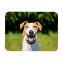 Suche nach lachende magnete Tiere