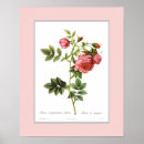 Recherche de bordures posters Coutume