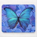 Recherche de morpho tapis souris Nature