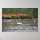 Recherche de oiseaux de marais art Faune