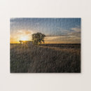 Recherche de colorado puzzles Coucher de soleil