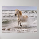 Recherche de camargue posters Superstock