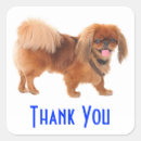 Suche nach pekingese aufkleber Peke